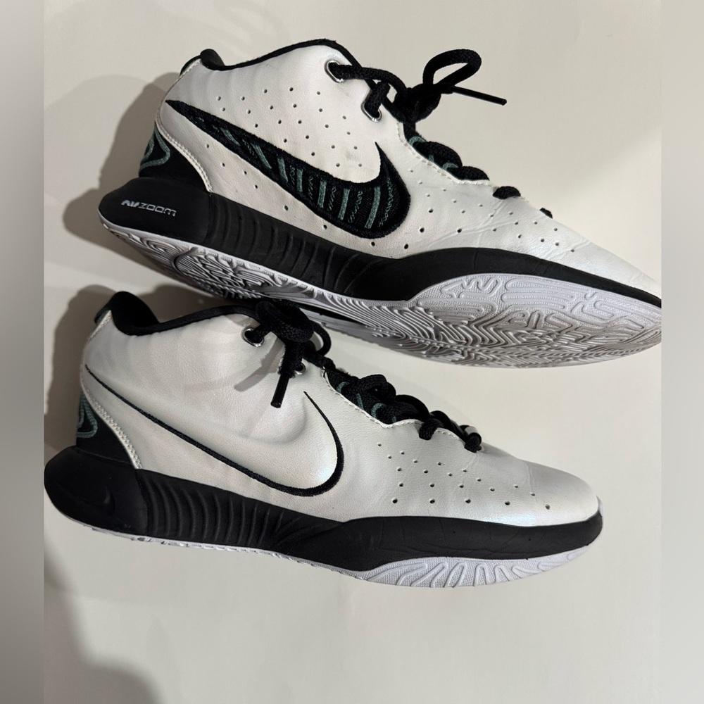 EUC Lebron Nike Air Zoom Basketball Sneakers.